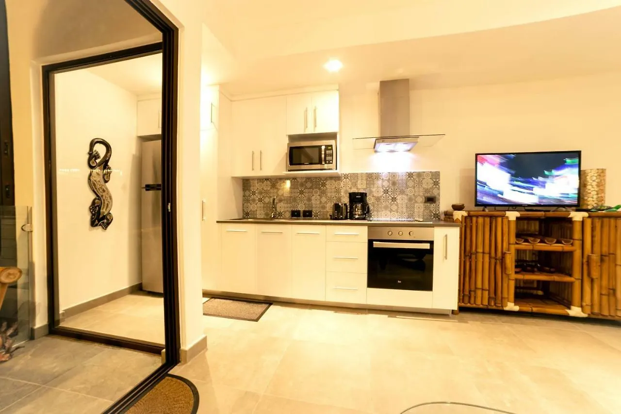 Quinto Sol Luxury Apartments By Mikitito Rentals Tulum