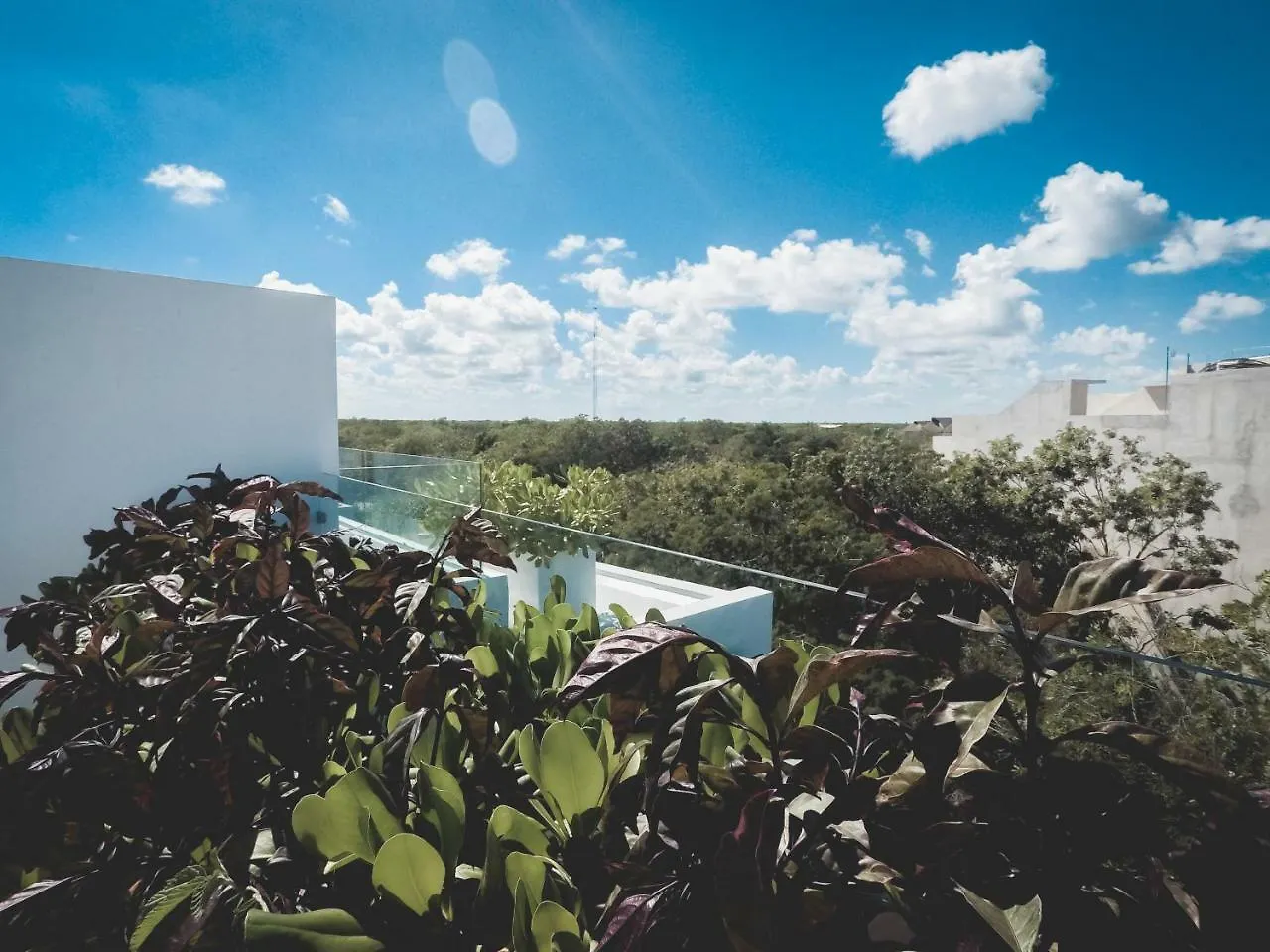 Quinto Sol Luxury Apartments By Mikitito Rentals Tulum
